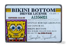 spongebob_driving_licence_1_1